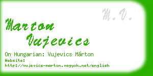 marton vujevics business card